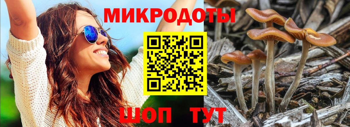 Лесной  Псилоцибиновые грибы Psilocybine cubensis  хочу   Вход с VPN  Галлюциногенные грибы мухоморы 