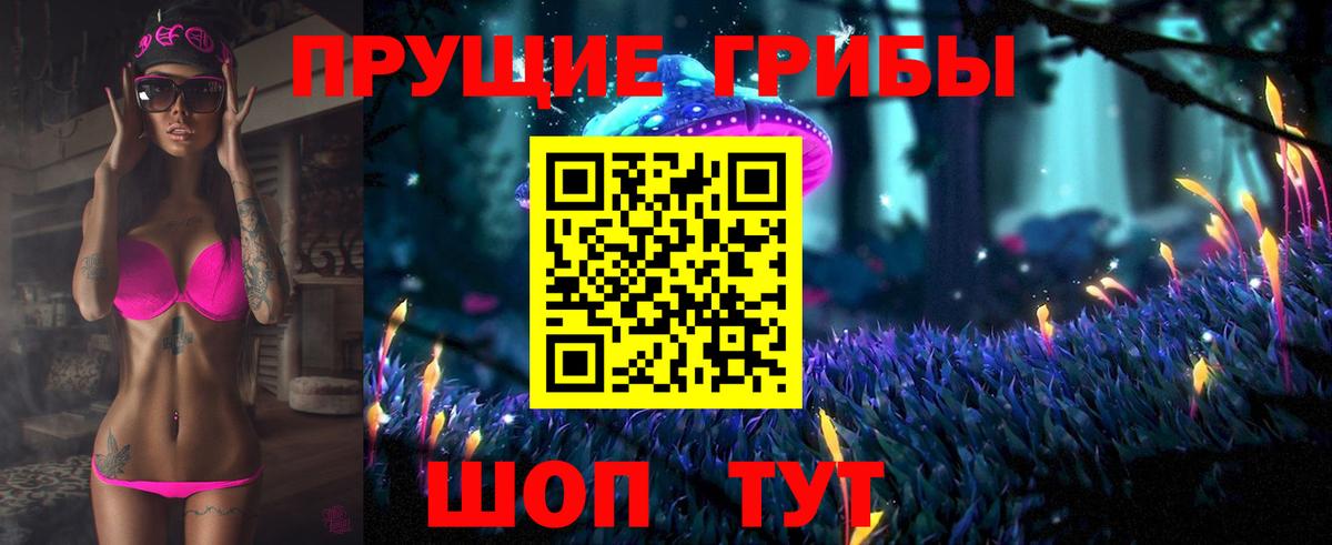 Галлюциногенные грибы Cubensis Лесной